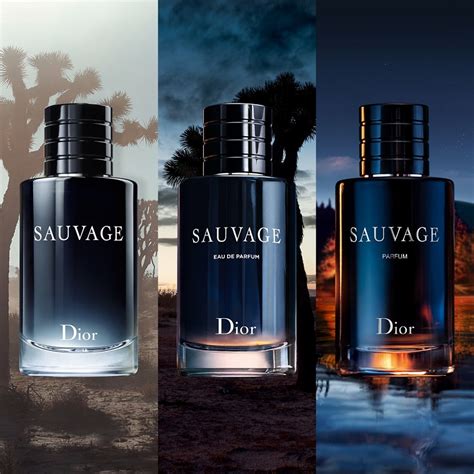 coffret dior sauvage homme|dior homme intense vs sauvage.